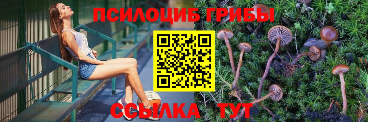 Галлюциногенные грибы прущие грибы  Вход с VPN  Галлюциногенные грибы MAGIC MUSHROOMS  Россошь 