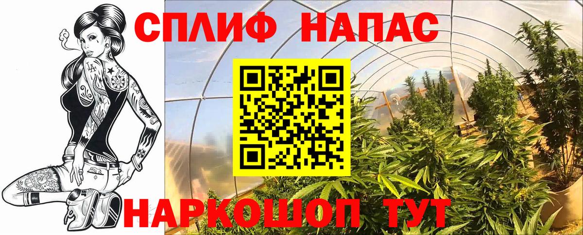 Бошки марихуана семена Россошь